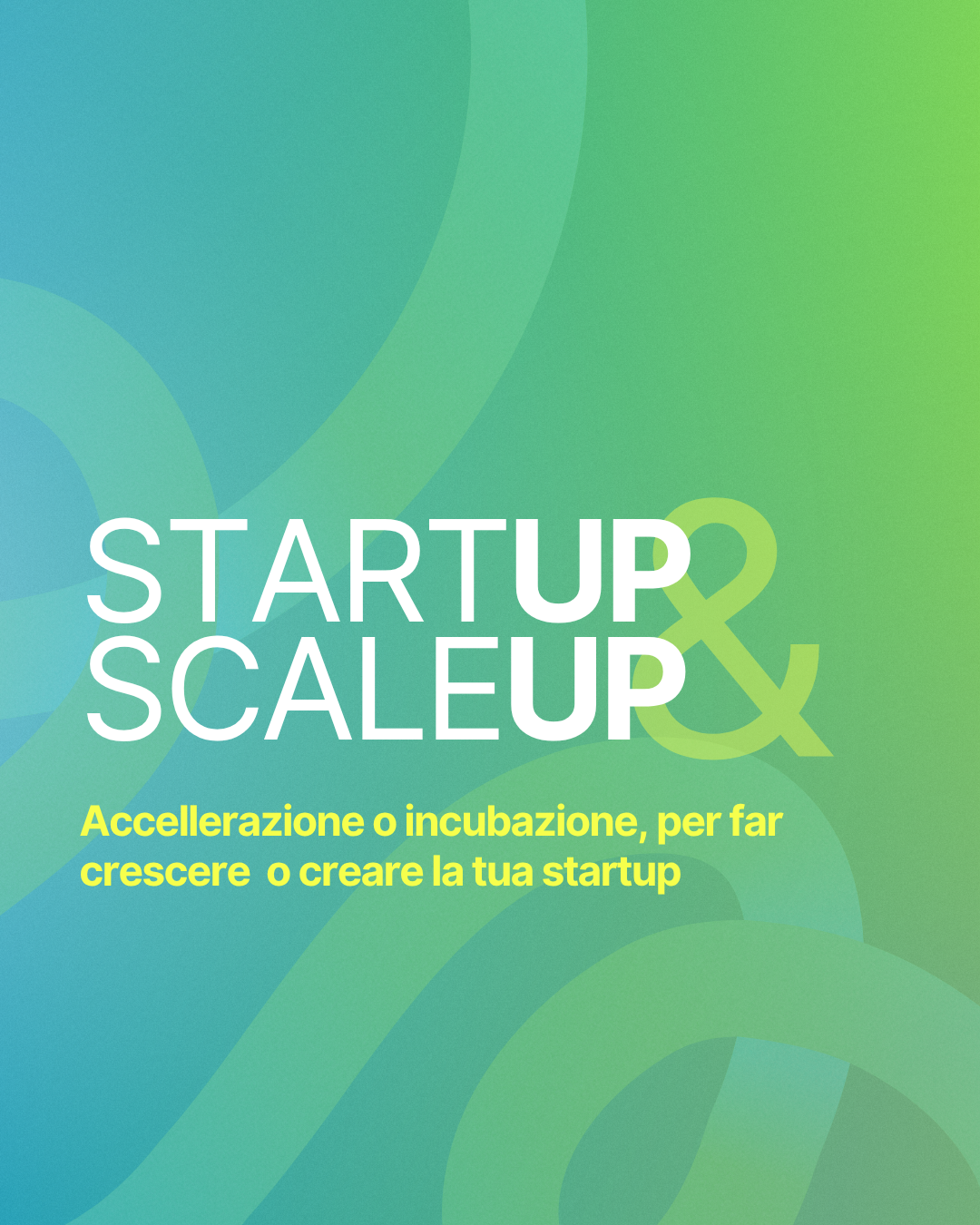 Startup & Scaleup